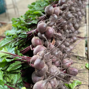 organic beetroot kent