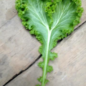 organic vegetables kent