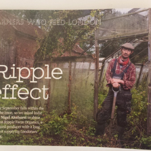 farmers who feed london jellied eel magazine article