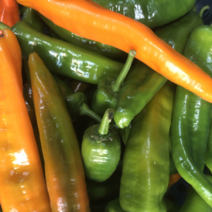 organic vegetable box delivery kent