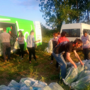 Leek gleaning - The gleaning network