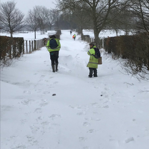 Snow walk to work