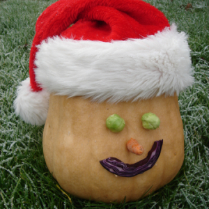 Christmas organic vegetables delivery kent