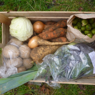 Organic vegetable box scheme kent, home delivery