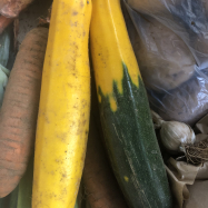organic courgette kent box scheme