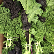 organic vegetable farm kent