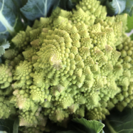 organic vegetable delivery kent