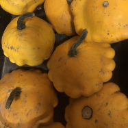 organic squash kent