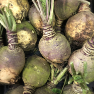 organic vegetable farm kent